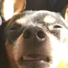 SeanDarling - @seandarlingh - TikTok