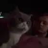 seandasschaf - @seandasschaf - TikTok