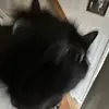 Sean_Daubert - @sean_daubert - TikTok