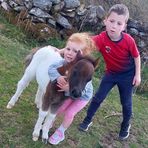 Sean Davoren - Facebook