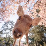 r.seandeer - @r.seandeer - Instagram