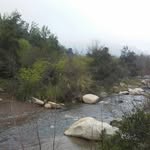 Seann - @sean.deer.2 - Instagram