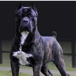 Sean Dent - @sean.dent.9828 - Instagram
