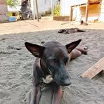 Daren Sean - Facebook