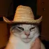 Sean_Devlin - @sean_devlin - TikTok