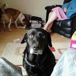 Sean Dibble - @dibblesean - Instagram