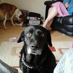 Sean Dibble - @sean.dibble.12 - Instagram