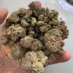 Sean dick - @seandick148 - Instagram