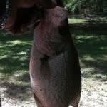 Sean Dinkins - @blacksmith20 - Instagram