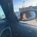 Sean Dorsey - Facebook