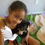 Sean Dove - @sean.dove.77 - Instagram