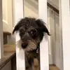 sean.downes9 - @sean.downes9 - TikTok