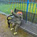Sean Dube - Facebook
