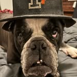 Sean J. Duke - @seanj.duke - Instagram