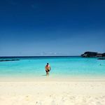 Sean Dye - @dyenosaurs - Instagram