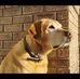 Shawn Eberle - Facebook
