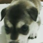 sean ellery - @seanellery - Instagram
