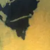 seanemanuel - @seanemanuel - TikTok