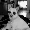 Itz Sean - @sean.mcburney - TikTok