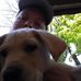 Sean Emery - Facebook