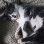 Sean Epstein - @seanepstn - Instagram