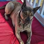 Sean Ervin - @smervin52 - Instagram
