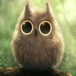 Sean Everson - @sean_ever_son - Instagram