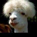 Sean Everson =]™ - @everson1234 - Instagram
