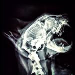 Sean Fairman - @_nomeb_ - Instagram