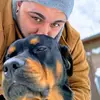 seanfalcone1 - @sean.falcone2 - TikTok