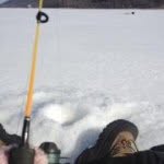 Sean Fielding - @skent43 - Instagram