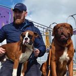 Seán Fields - @seanfieldschc - Instagram