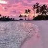 SeanFlanders9 - @seanflanders9 - TikTok