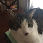 Sean Fraley - @sean.fraley - Instagram