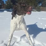 Sean Fraley - @filter_through - Instagram