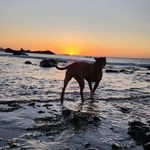 @sean_gaspar - Instagram