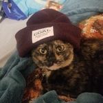 Sean Geist - @ogkitty6107 - Instagram