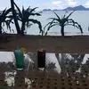 seangeorges - @seangeorges - TikTok