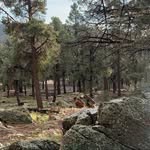 Sean & Paula Gerber - @dirtyponderosaranch - Instagram