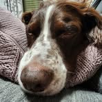 Sean Gerow - Facebook