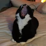 Sean Raggle Getchell - @grandpawkittyfuckfuck - Instagram