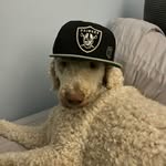 Sean Goldenberg - @sean.goldenberg___ - Instagram
