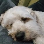 Sean Goulding - @seangoulding0_0_ - Instagram