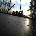 sean grieve - @edgy_redgie_is_ultra_edgy.spam - Instagram