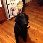 Sean Griffiths - @sean.griffiths05 - Instagram