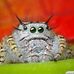 Sean Grimm - Facebook