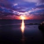 Sean Grubb - @seangrubb1 - Instagram