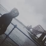 Sean Guo - @seangu.o - Instagram