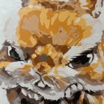Sean Guo - @sean_0805_ - Instagram
