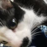 sean guo - @sean_guo1234 - Instagram
